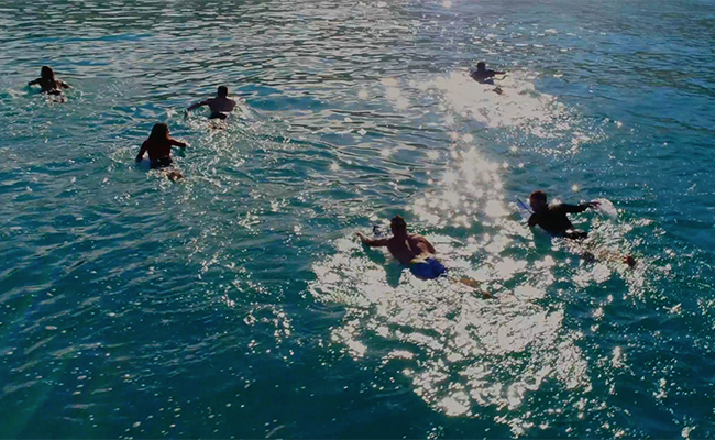 Skru ned videnskabsmand hack 'Momentum Generation': Surf Movie at Gurney's - Hamptons International Film  Festival