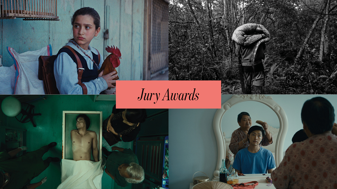 JURY AWARDS hiff33
